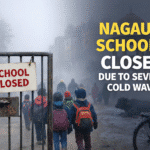 file_00000000852c71fab30219b0a9e13858