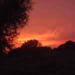 IMG-20260728-WA0030